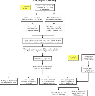 Identification of a Novel Four-Gene Signature Correlated With the Prognosis of Patients With Hepatocellular Carcinoma: A Comprehensive Analysis